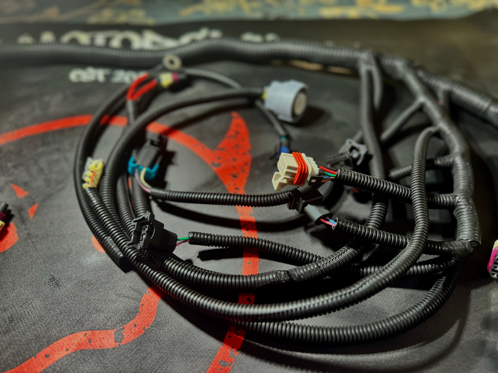 STANDALONE GEN III LS1/4L60e HARNESS