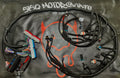 STANDALONE GEN III LS1/4L60e HARNESS